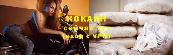 spice Алзамай