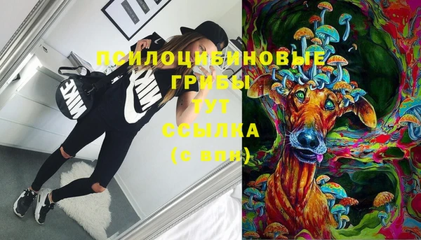 spice Алзамай