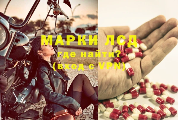 spice Алзамай